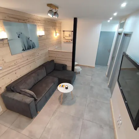 Le Bois Cosy 4 Etoiles 6 Personnes, Acces Alpe D'huez Grand Domaine A 3 K M Apartment Allemont