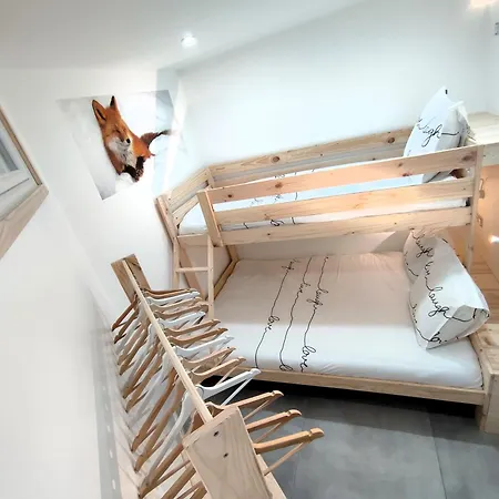 Le Bois Cosy 4 Etoiles 6 Personnes, Acces Alpe D'huez Grand Domaine A 3 K M *