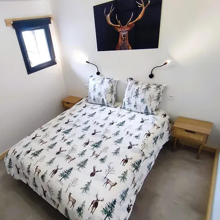 Apartment Le Bois Cosy 4 Etoiles 6 Personnes, Acces Alpe D'huez Grand Domaine A 3 K M *